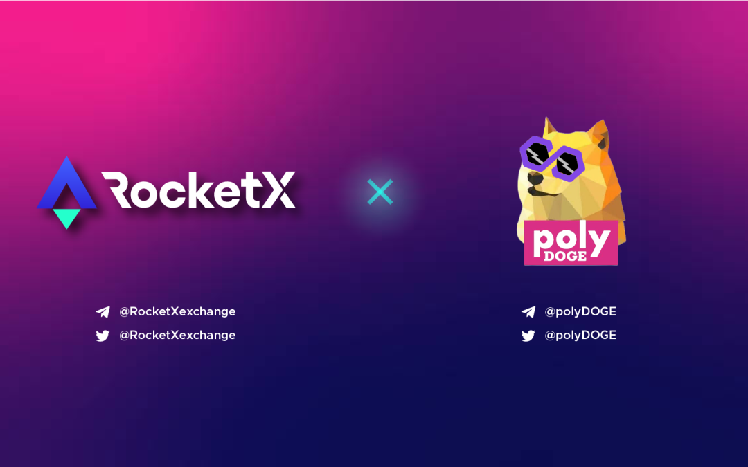 RocketX Brings 1-Click Cross-Chain Swaps to Boost PolyDOGE Trading