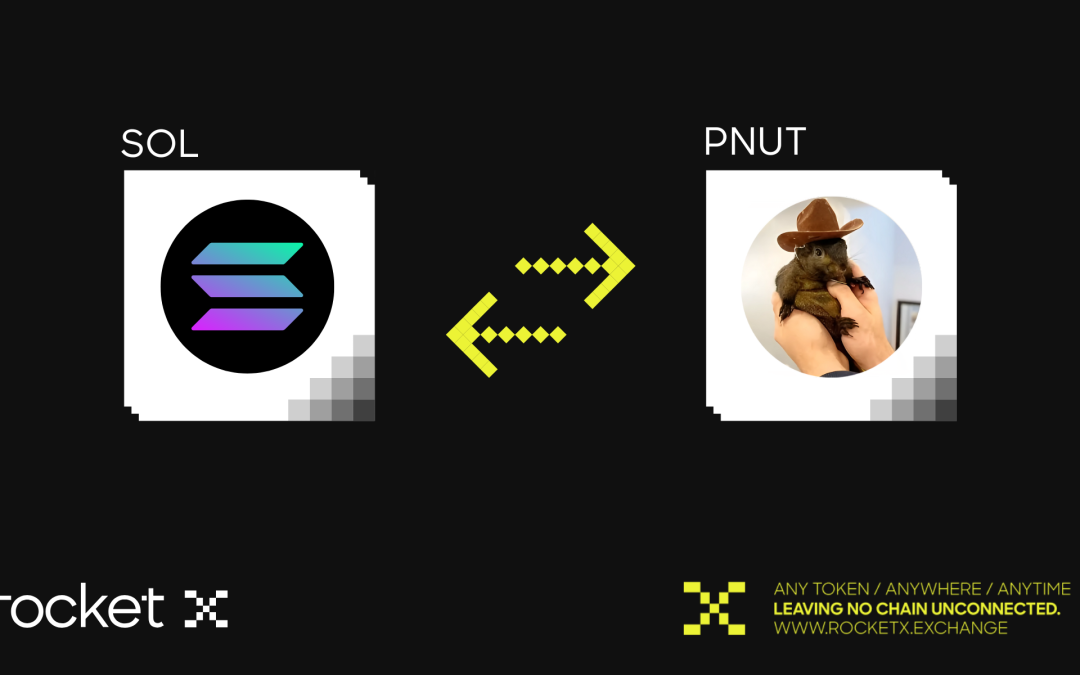 Buy PNUT Coin Seamlessly on RocketX: A Tribute to Peanut the Squirrel’s Legacy